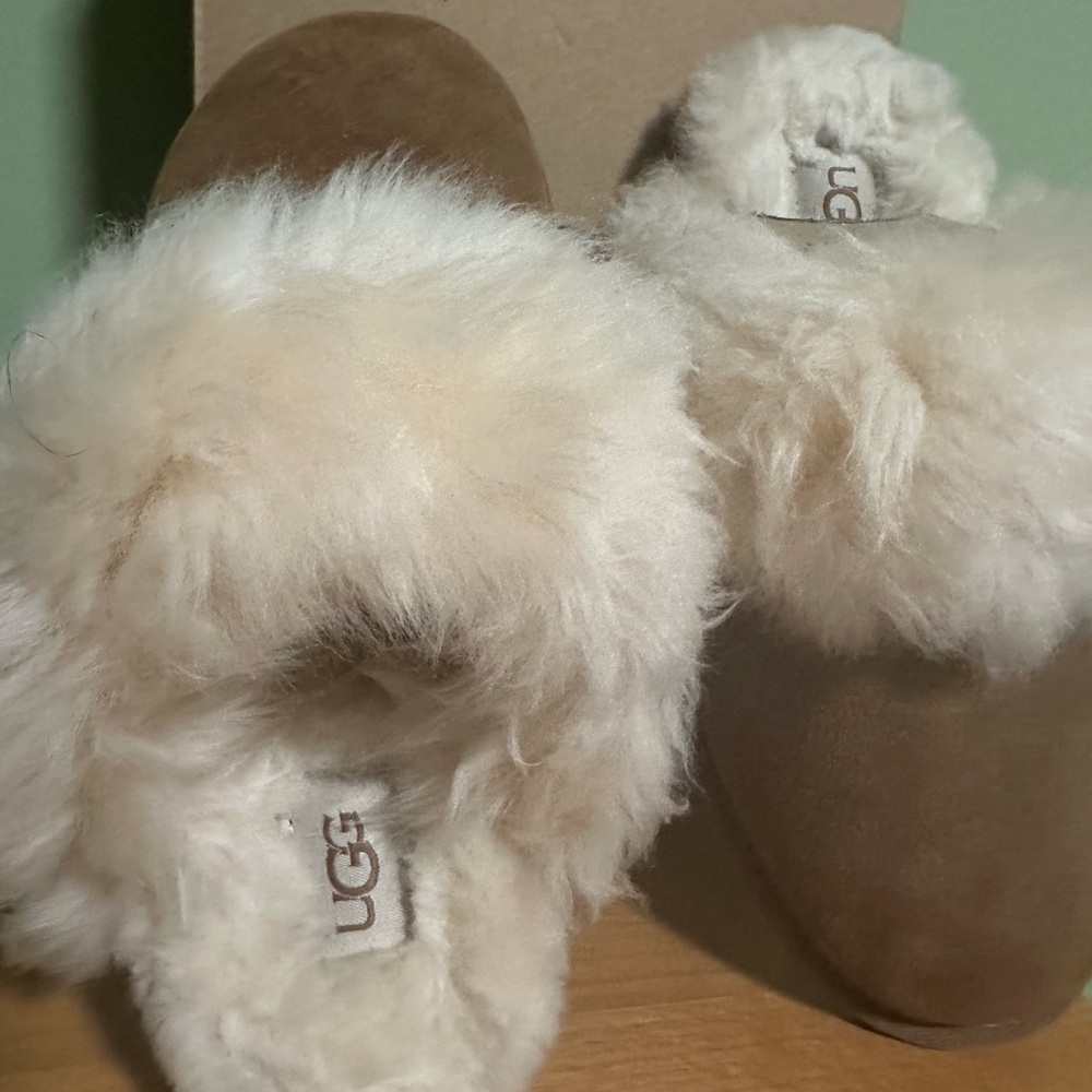 Uggs Women Scuffette III